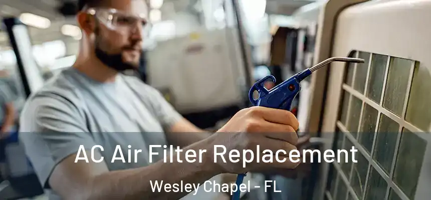  AC Air Filter Replacement Wesley Chapel - FL