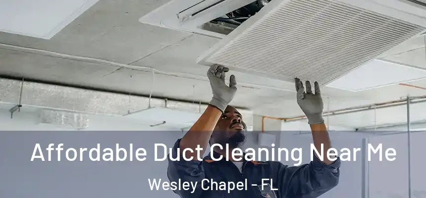  Affordable Duct Cleaning Near Me Wesley Chapel - FL