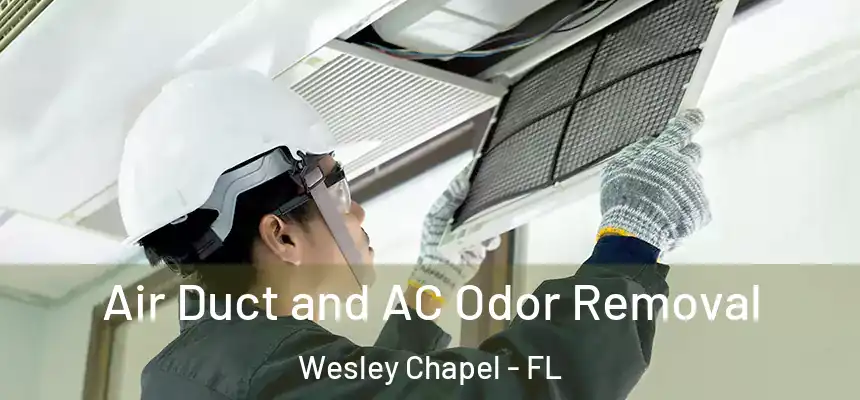  Air Duct and AC Odor Removal Wesley Chapel - FL
