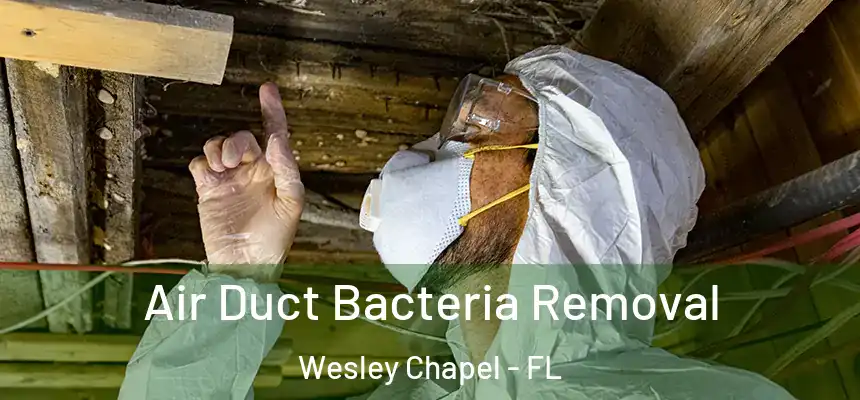  Air Duct Bacteria Removal Wesley Chapel - FL