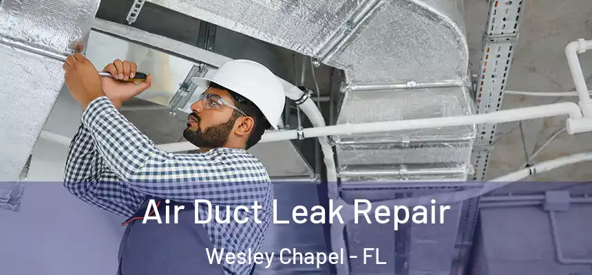  Air Duct Leak Repair Wesley Chapel - FL