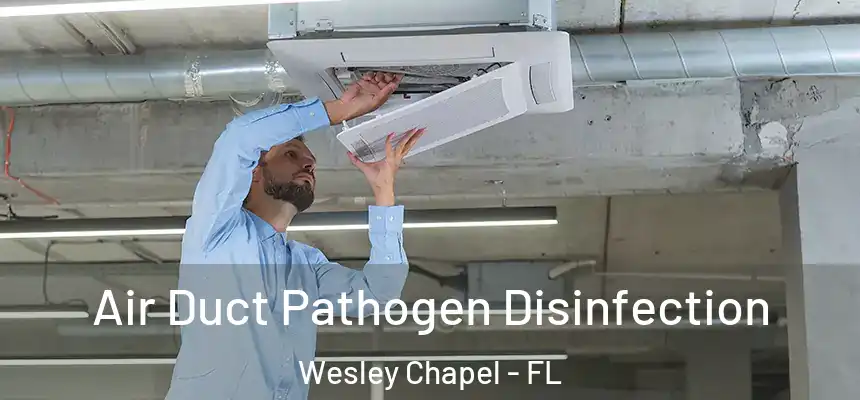  Air Duct Pathogen Disinfection Wesley Chapel - FL