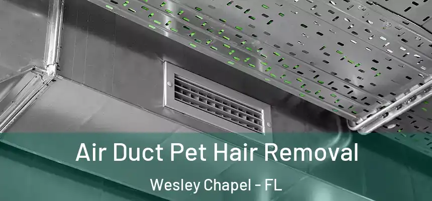 Air Duct Pet Hair Removal Wesley Chapel - FL