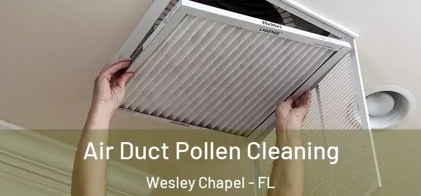  Air Duct Pollen Cleaning Wesley Chapel - FL