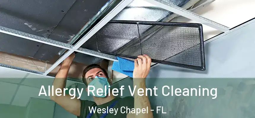  Allergy Relief Vent Cleaning Wesley Chapel - FL