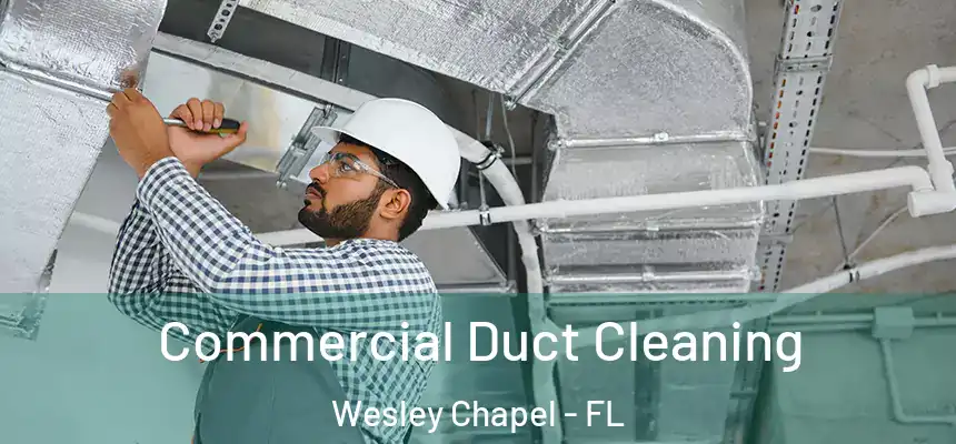  Commercial Duct Cleaning Wesley Chapel - FL