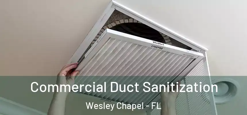  Commercial Duct Sanitization Wesley Chapel - FL
