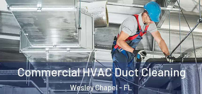Commercial HVAC Duct Cleaning Wesley Chapel - FL