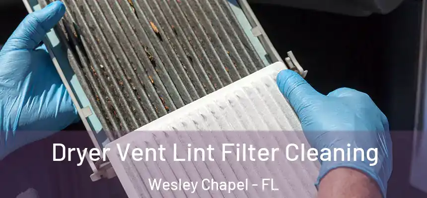  Dryer Vent Lint Filter Cleaning Wesley Chapel - FL