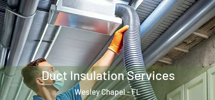  Duct Insulation Services Wesley Chapel - FL