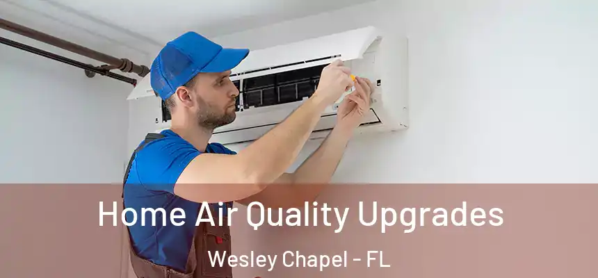  Home Air Quality Upgrades Wesley Chapel - FL