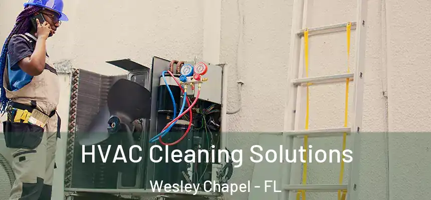  HVAC Cleaning Solutions Wesley Chapel - FL