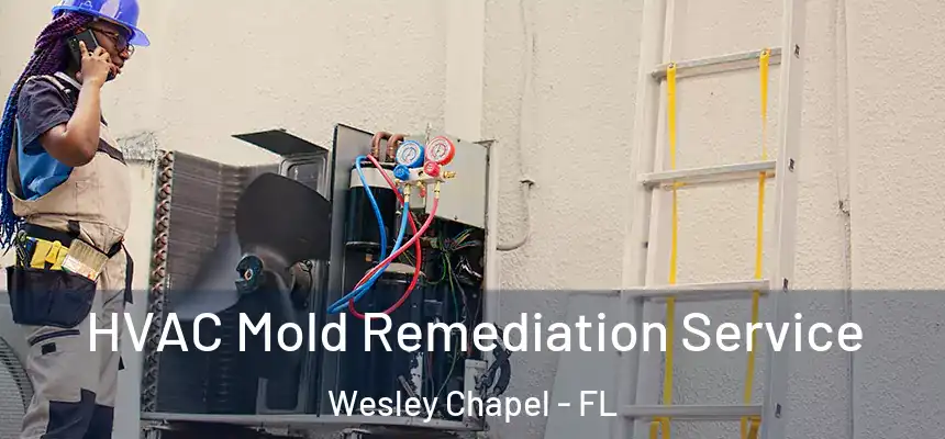  HVAC Mold Remediation Service Wesley Chapel - FL