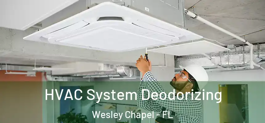  HVAC System Deodorizing Wesley Chapel - FL