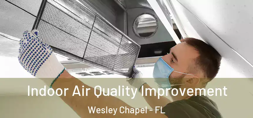  Indoor Air Quality Improvement Wesley Chapel - FL