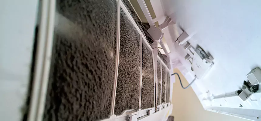 Preventive Air Duct Bacteria Removal in Wesley Chapel