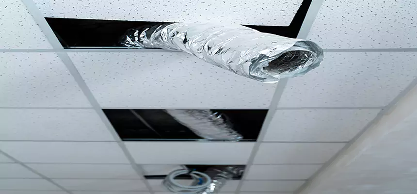 Our Air Duct Pet Hair Removal Services in Wesley Chapel, FL