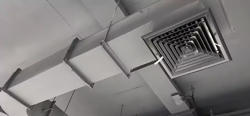 Restorative Allergy Relief Vent Cleaning – Coil, Blower & Housing Detail in Wesley Chapel