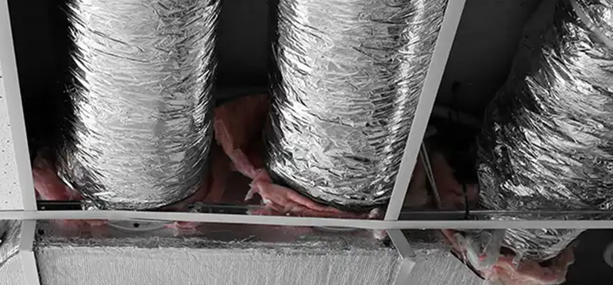 Scalable Commercial Multi‑Unit Dryer Vent Camera Inspection in Wesley Chapel, FL