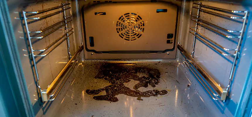 Our Dryer Vent Mold Cleaning Services in Wesley Chapel, FL