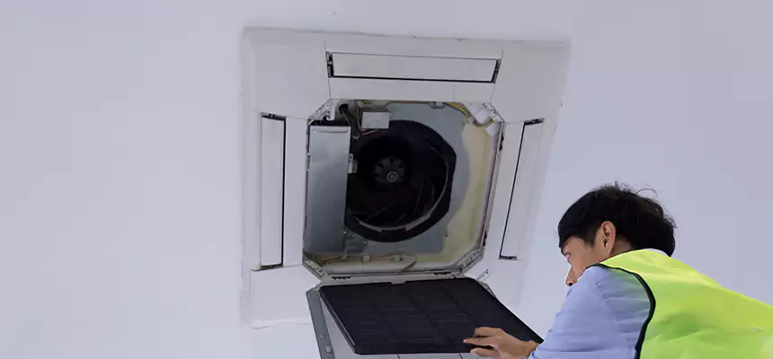 Our Dryer Vent Sanitization Service Services in Wesley Chapel, FL