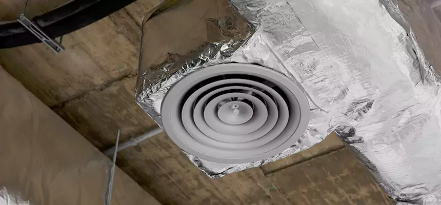Our Excess Lint Removal from Dryer Ducts Services in Wesley Chapel, FL