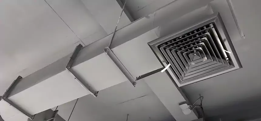 Our Pest Removal From Ducts Services in Wesley Chapel, FL