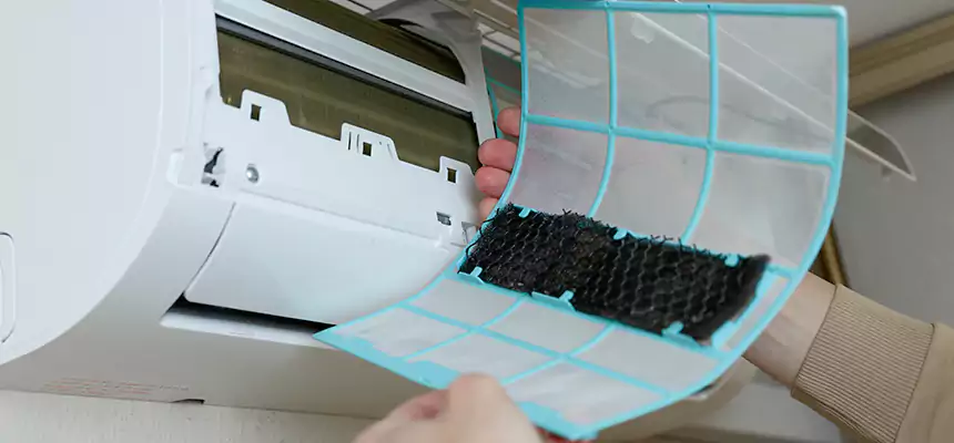 Gentle Ductwork Odor-Control Pet Dander Duct Cleaning in Wesley Chapel, FL