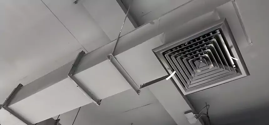 Our Rodent Droppings In Vents Services in Wesley Chapel, FL