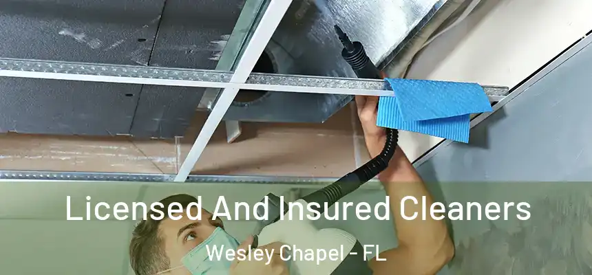 Licensed And Insured Cleaners Wesley Chapel - FL