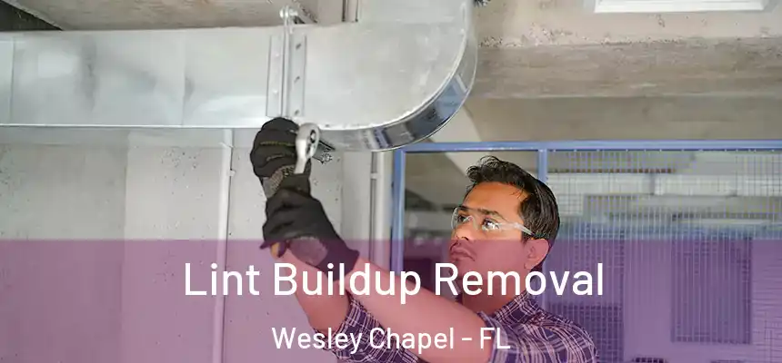  Lint Buildup Removal Wesley Chapel - FL