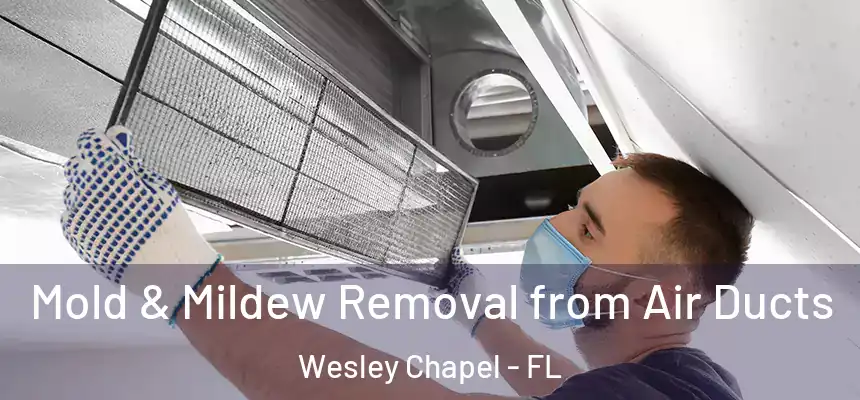  Mold & Mildew Removal from Air Ducts Wesley Chapel - FL