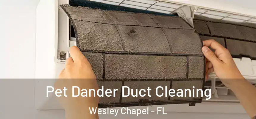  Pet Dander Duct Cleaning Wesley Chapel - FL