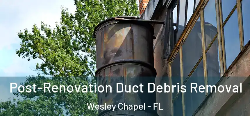  Post-Renovation Duct Debris Removal Wesley Chapel - FL