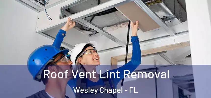  Roof Vent Lint Removal Wesley Chapel - FL