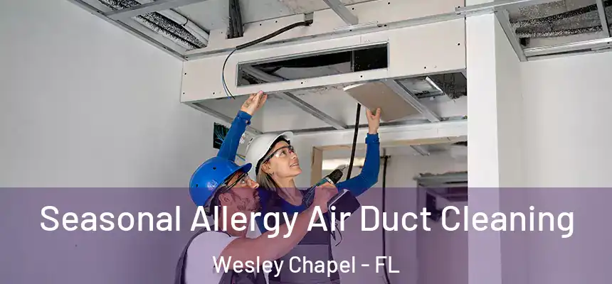  Seasonal Allergy Air Duct Cleaning Wesley Chapel - FL