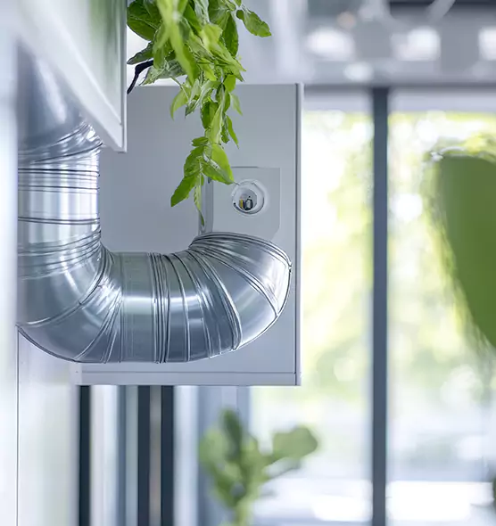 Professional Eco-Safe Dryer Vent Cleaning in Wesley Chapel, FL