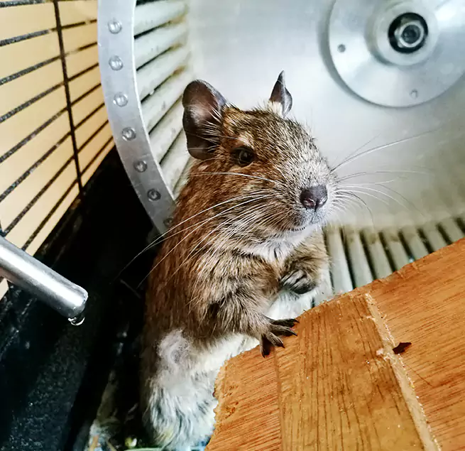 Why Homeowners & Businesses Trust Us Wesley Chapel, FL?