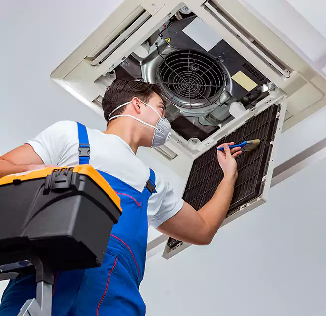 Why Homeowners & Businesses Trust Us in Wesley Chapel, FL?