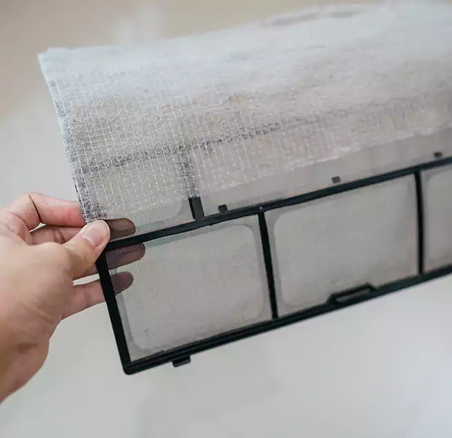 Why Homeowners & Businesses Trust Us in Wesley Chapel, FL?