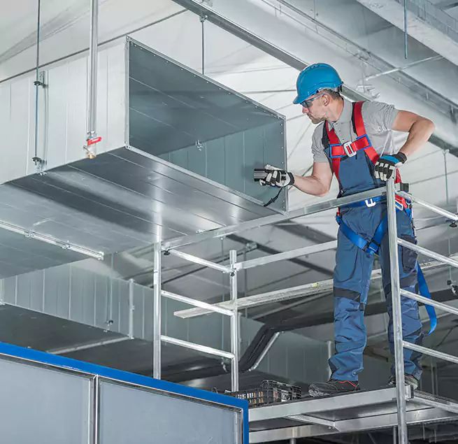 Why Homeowners & Businesses Trust Us in Wesley Chapel, FL?