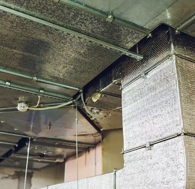 Why Homeowners & Businesses Trust Us in Wesley Chapel, FL?