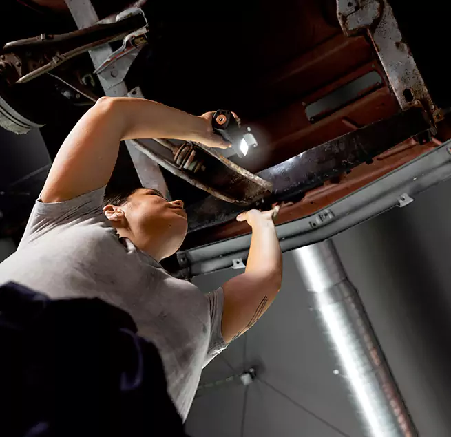 Why Homeowners & Businesses Trust Us Wesley Chapel, FL