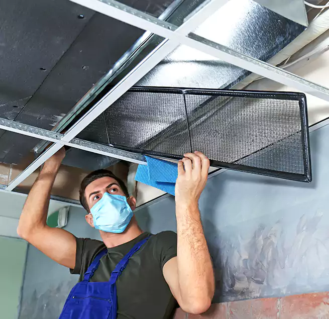 Why Homeowners Businesses Trust Us in Wesley Chapel, FL